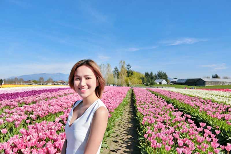 cố gái hà lan giữa cánh đồng hoa tulip