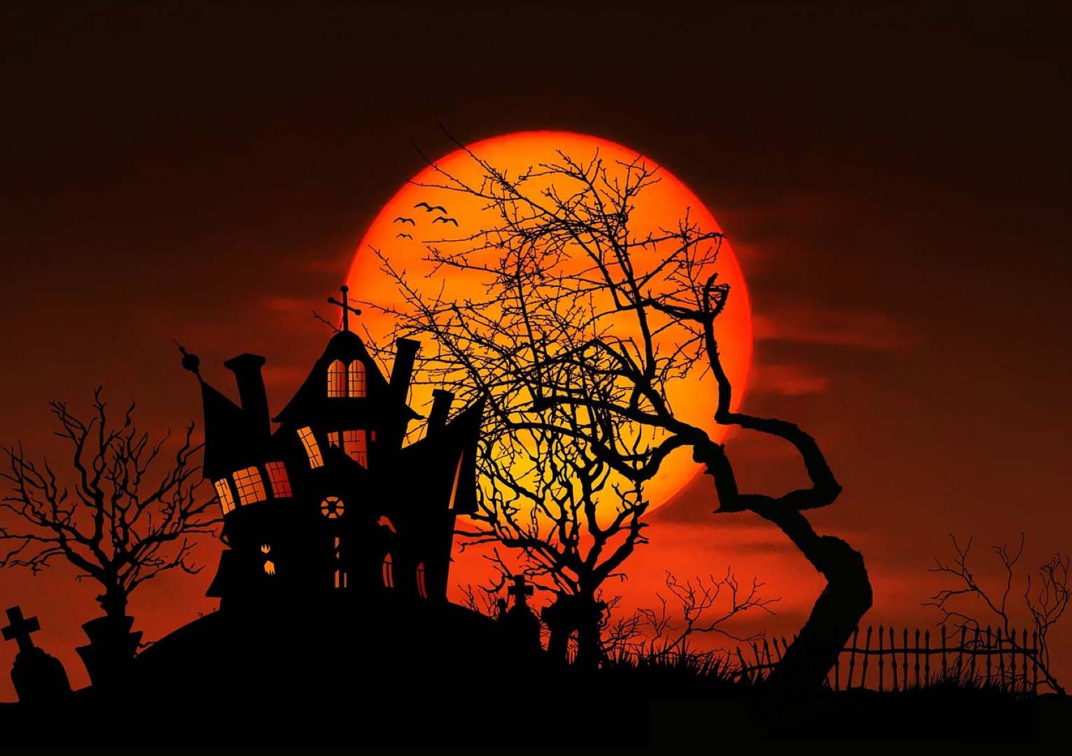 Hình ảnh nền halloween