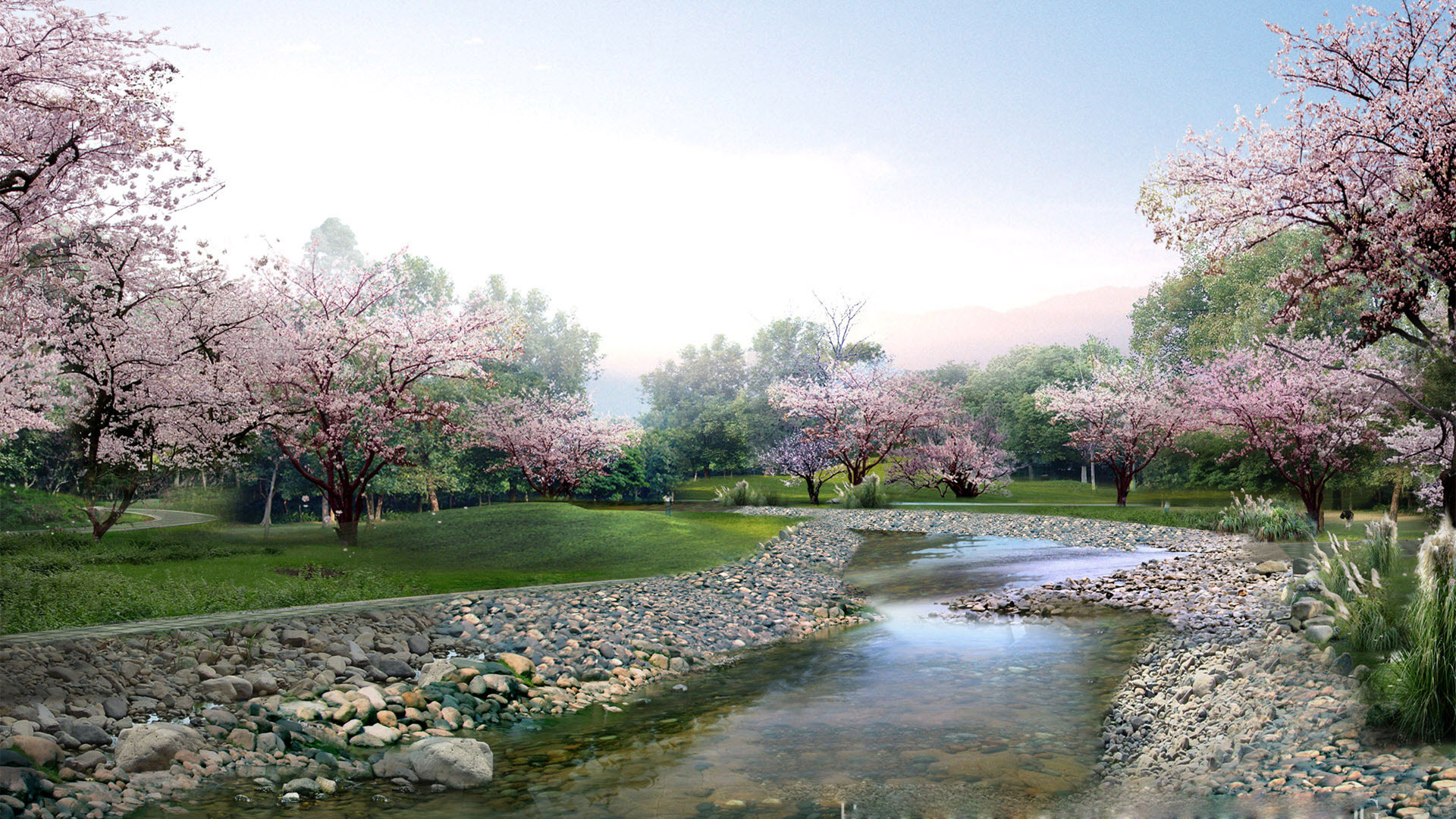 50 hình nền hoa anh đào Nhật Bản siêu đẹp và lãng mạn  thptlamnghiepeduvn