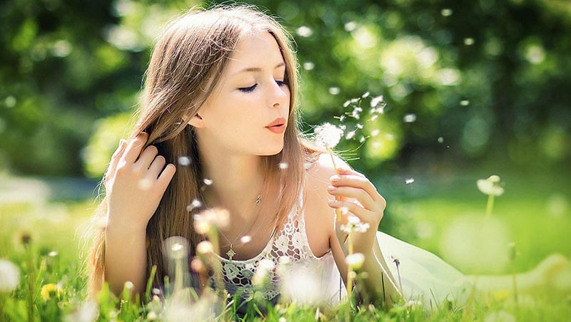 hoa bồ công anh và tiên đoán tình yêu