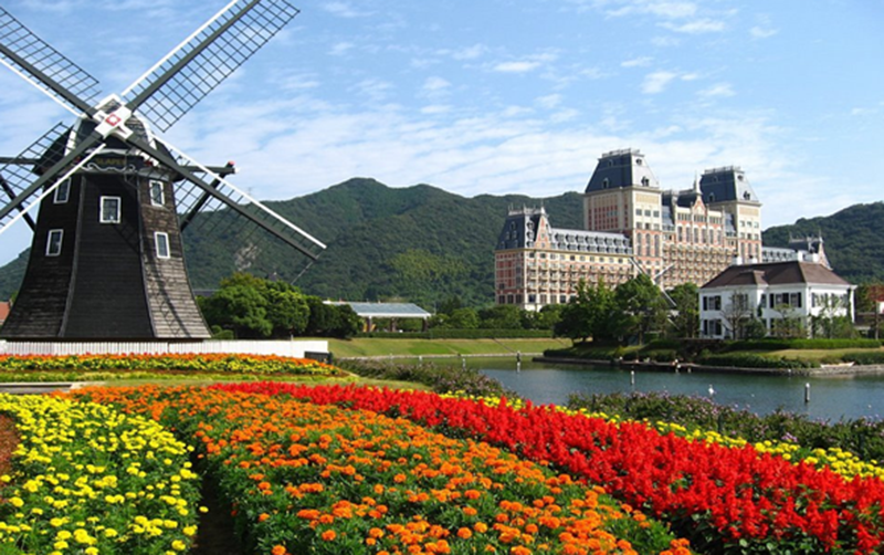 hoa tulip đẹp ở hà lan
