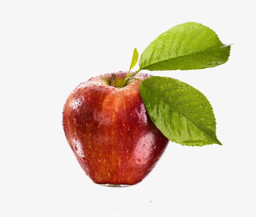 Chia sẻ với hơn 51 về vẽ hình trái táo hay nhất  trieuson5