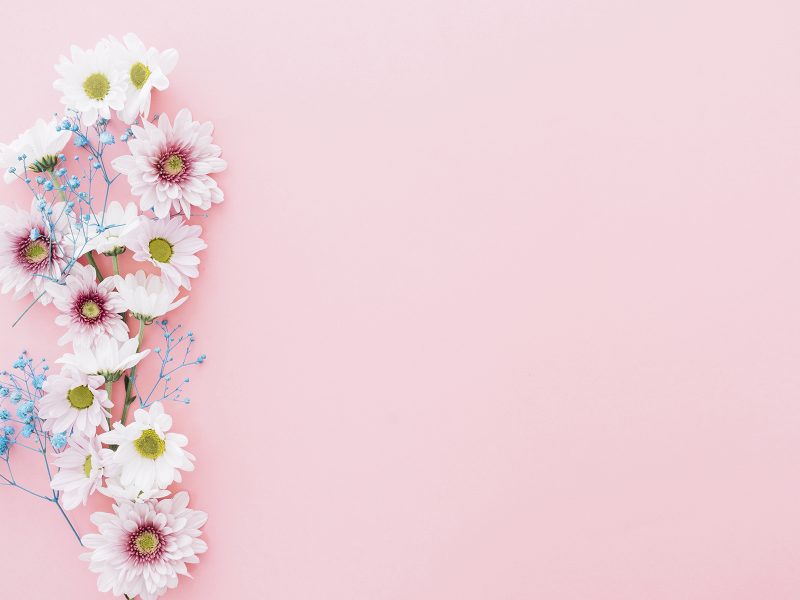 Top hơn 105 hình nền hoa đẹp cho powerpoint mới nhất  poppyeduvn