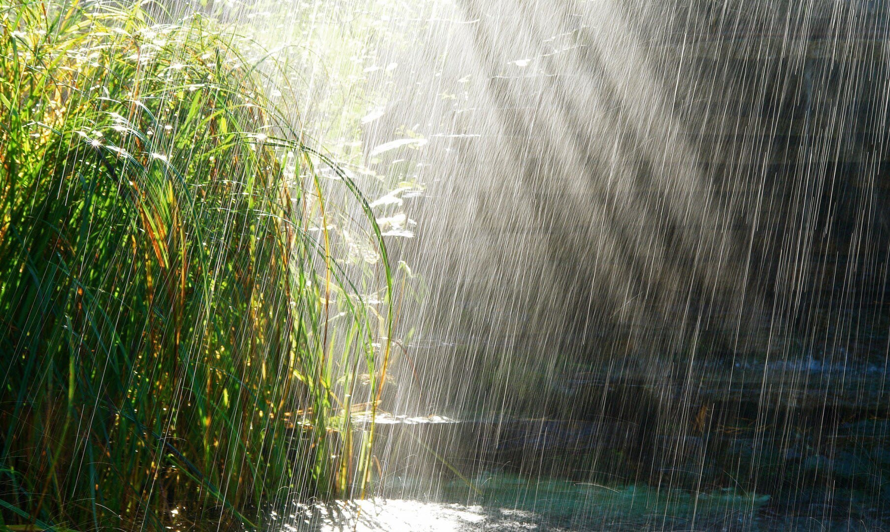 Hình ảnh mưa đẹp và lãng mạn nhất - Ảnh đẹp trời mưa