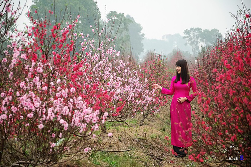 Những hình ảnh mùa xuân thiên nhiên đẹp, lộng lẫy nhất hiện nay -  Giadinh360.vn
