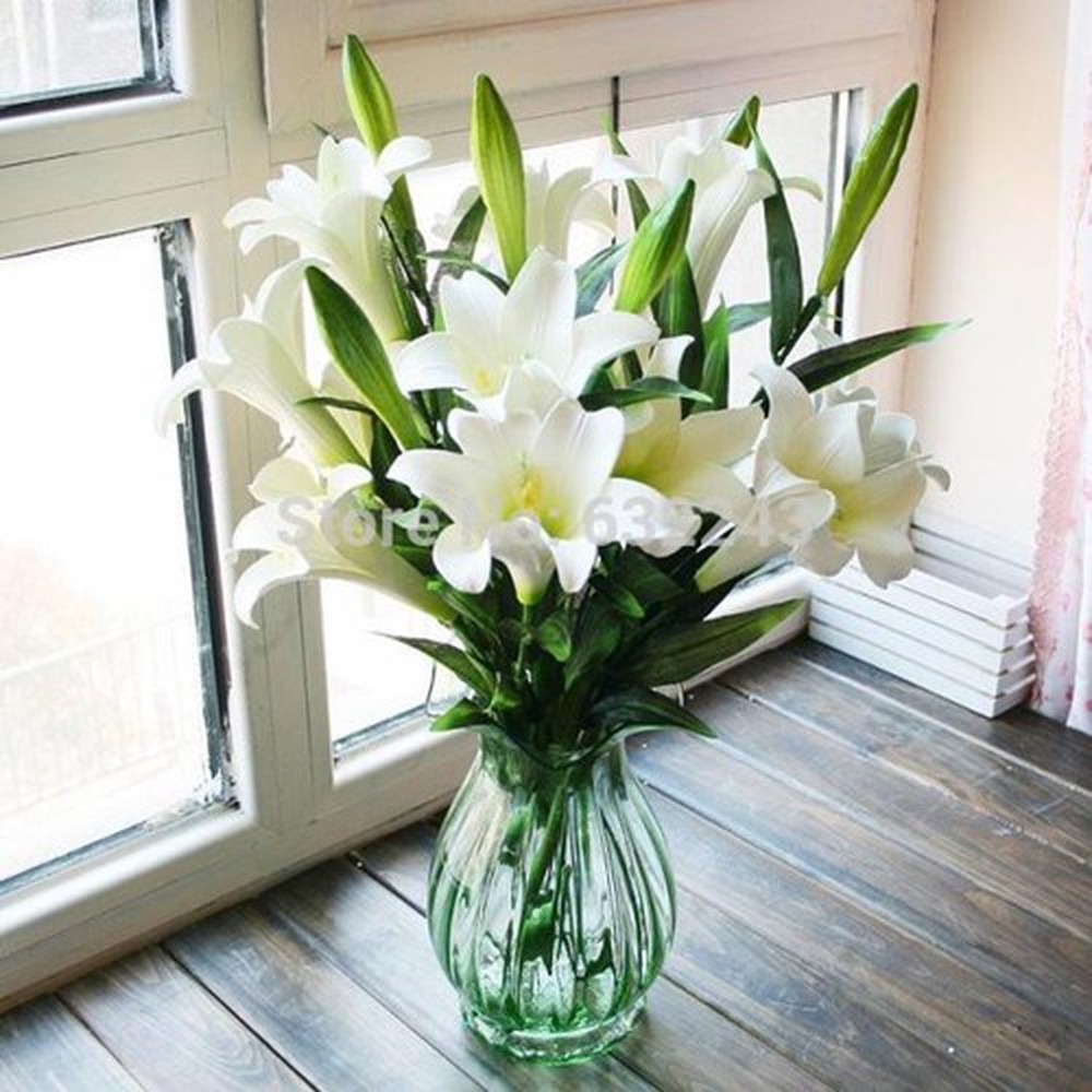 Sự kết hợp đặc biệt giữa hoa loa kèn trắng và hoa bách hợp tạo nên một bức tranh hoa nên thơ và đầy hoa mỹ. Cùng chúng tôi khám phá vẻ đẹp đầy sức sống của hai loại hoa này, chúng sẽ mang đến cho bạn sự yên bình và thanh tịnh cho cả không gian và tâm hồn của bạn.