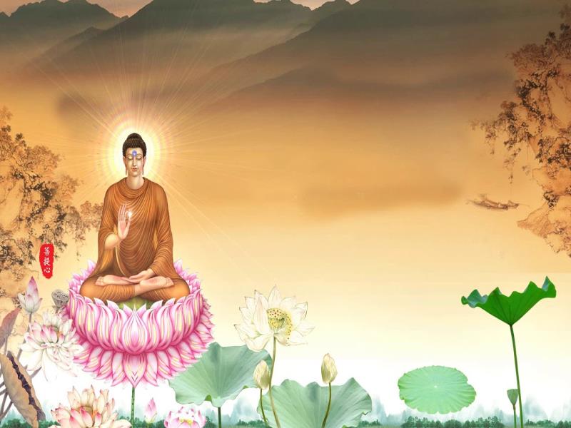 Đức Phật Giáo Buddharupa Nền Máy Tính - phật png tải về - Miễn phí trong  suốt đức Phật png Tải về.