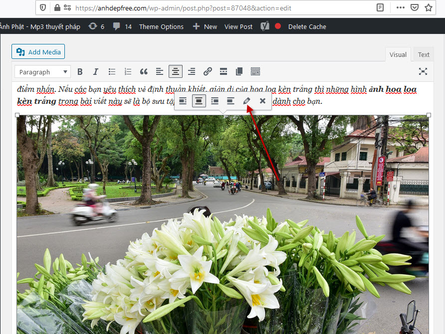 Cách chèn link ảnh trong wordpress 01