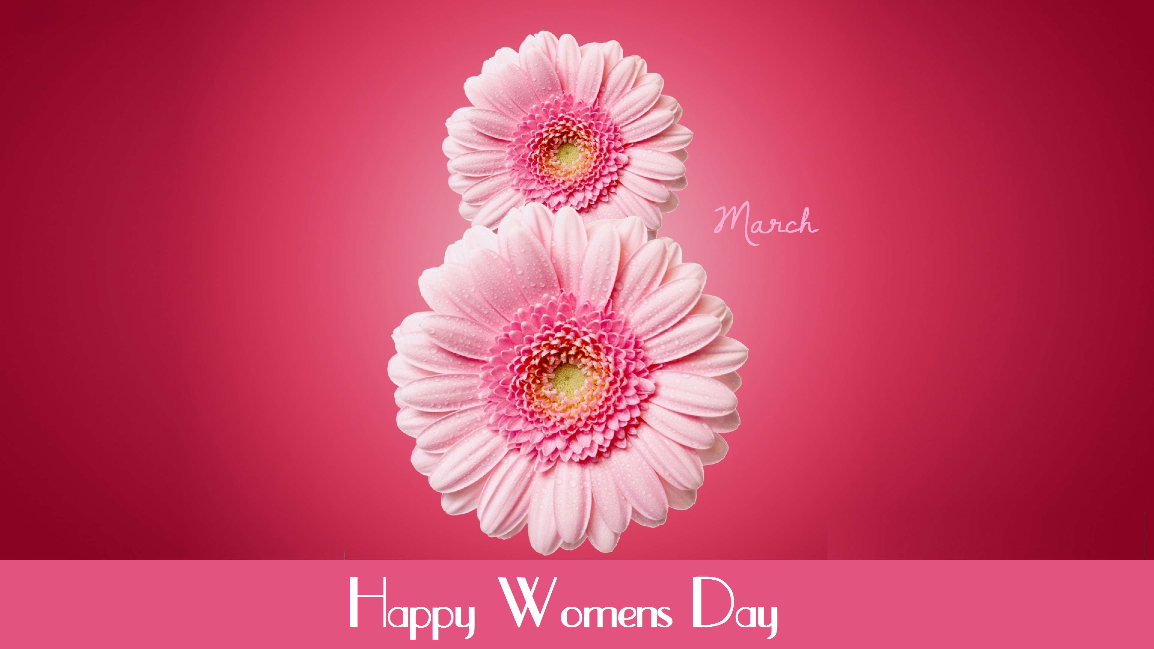 Khung ảnh hoa mừng ngày quốc tế phụ nữ 83