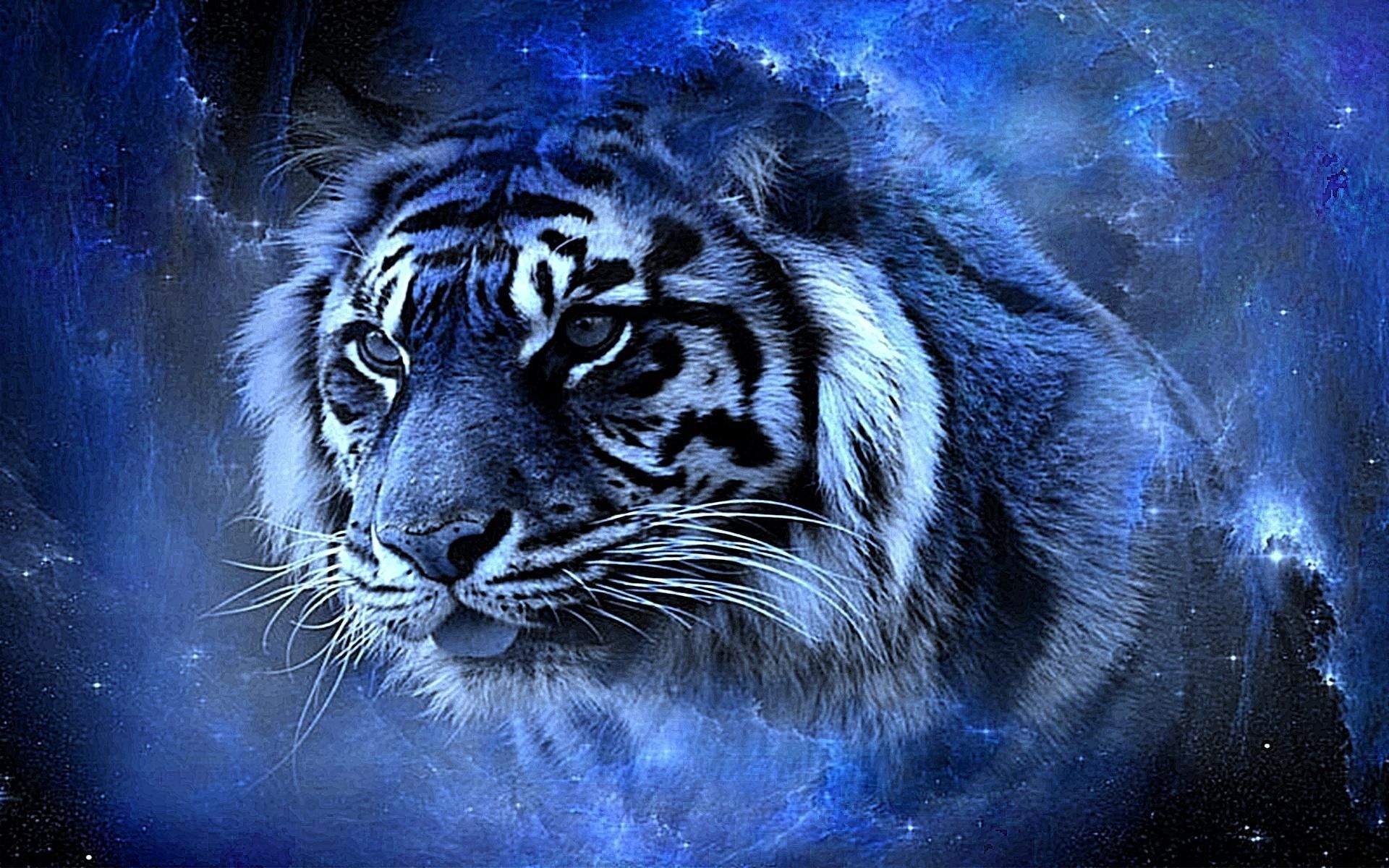 Tìm hiểu nhiều hơn 100 những hình ảnh con hổ đẹp nhất mới nhất ...