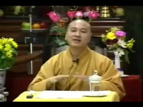 Người nhảy khỏi nước – ĐĐ. Thích Pháp Hòa