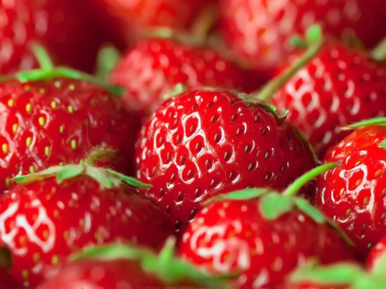 Tổng hợp 67 strawberry hình nền dâu tây cute mới nhất  CB