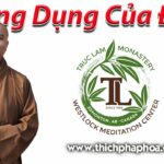 Công Dụng Của Đạo - ĐĐ. Thích Pháp Hòa 23