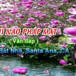 Khi Nào Pháp Mạt - ĐĐ. Thích Pháp Hòa 16