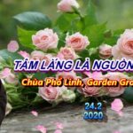 Tâm Lắng Là Nguồn Sống - ĐĐ. Thích Pháp Hòa 17