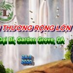 Tình Thương Rộng Lớn - ĐĐ. Thích Pháp Hòa 12