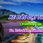 Xe Báu Đại Thừa 1 - ĐĐ. Thích Pháp Hòa 6