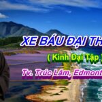 Xe Báu Đại Thừa 3 - ĐĐ. Thích Pháp Hòa 4