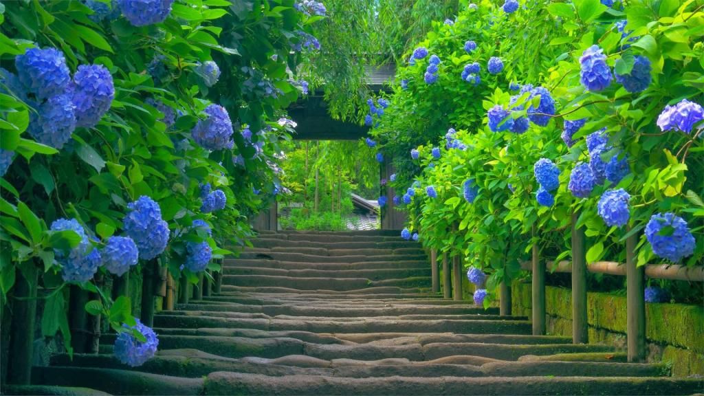 Phong cảnh nền cây xanh là lựa chọn hoàn hảo cho những ai yêu thích màu xanh của thiên nhiên. Màn hình của bạn sẽ được bao phủ bởi những cành cây, những chiếc lá và những đóa hoa rực rỡ, tạo ra không gian làm việc và giải trí thư giãn.