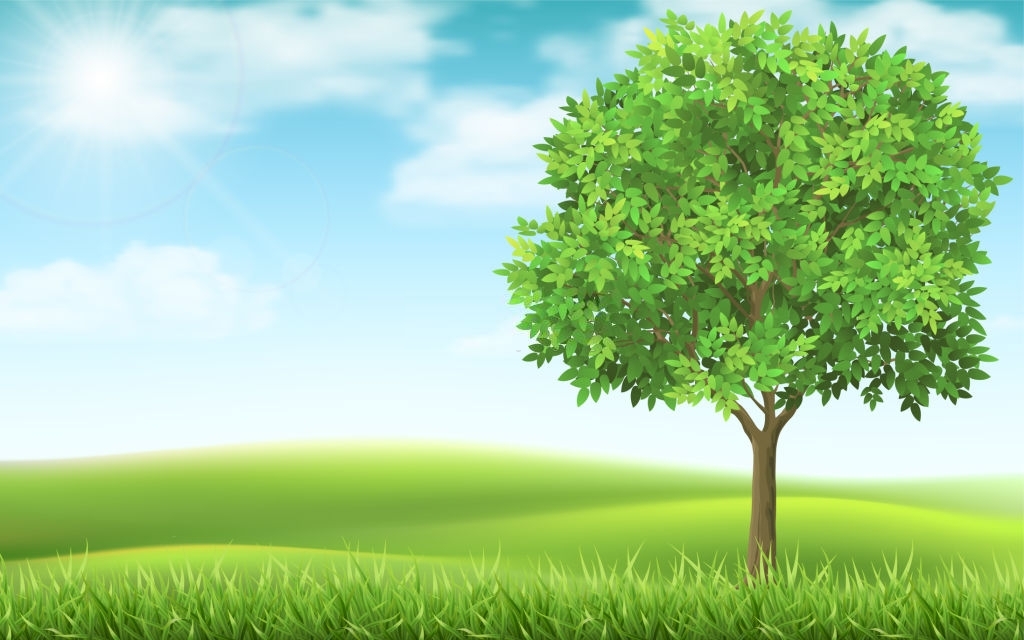 50 Background cây xanh đẹp nhất - Tải Background đẹp nhất