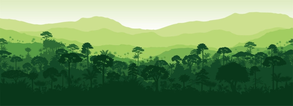 50 Background cây xanh đẹp nhất 6