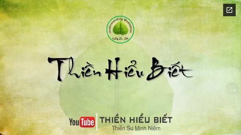 Đối Diện Phiền Não Để Chuyển Hóa Khổ Đau - TS. Thích Minh Niệm