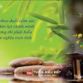 Đừng Lỡ Hẹn Với Cuộc Sống - TS. Thích Minh Niệm