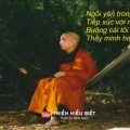 Không Tìm Mà Gặp - TS. Thích Minh Niệm