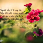 Thiền hiểu biết nuôi dưỡng bình yên - TS. Thích Minh Niệm