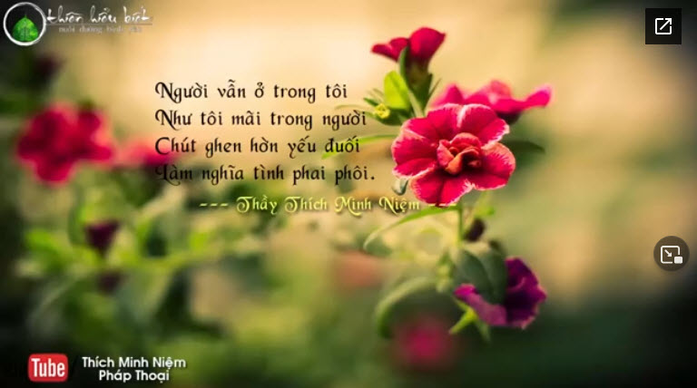Thiền hiểu biết nuôi dưỡng bình yên - TS. Thích Minh Niệm