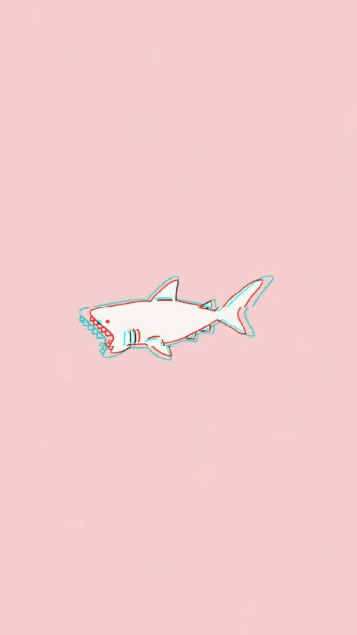 Hình ảnh cá mập cute đáng yêu - Ảnh hoạt hình