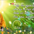 Làm Cái Gì Thì Hết Lòng Với Cái Đó - TS. Thích Minh Niệm