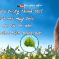 Năm Nguyên Tắc Căn Bản Vượt Thoát Đau Khổ - TS. Thích Minh Niệm