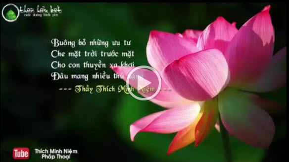 Tứ Diệu Đế - Bốn Chân Lý Mầu Nhiệm - TS. Thích Minh Niệm