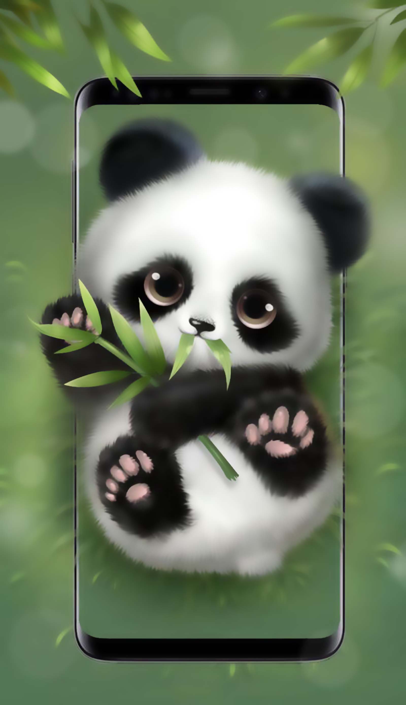 Hình Nền Gấu Trúc Panda Dễ Thương - Tải Ảnh Đẹp Free
