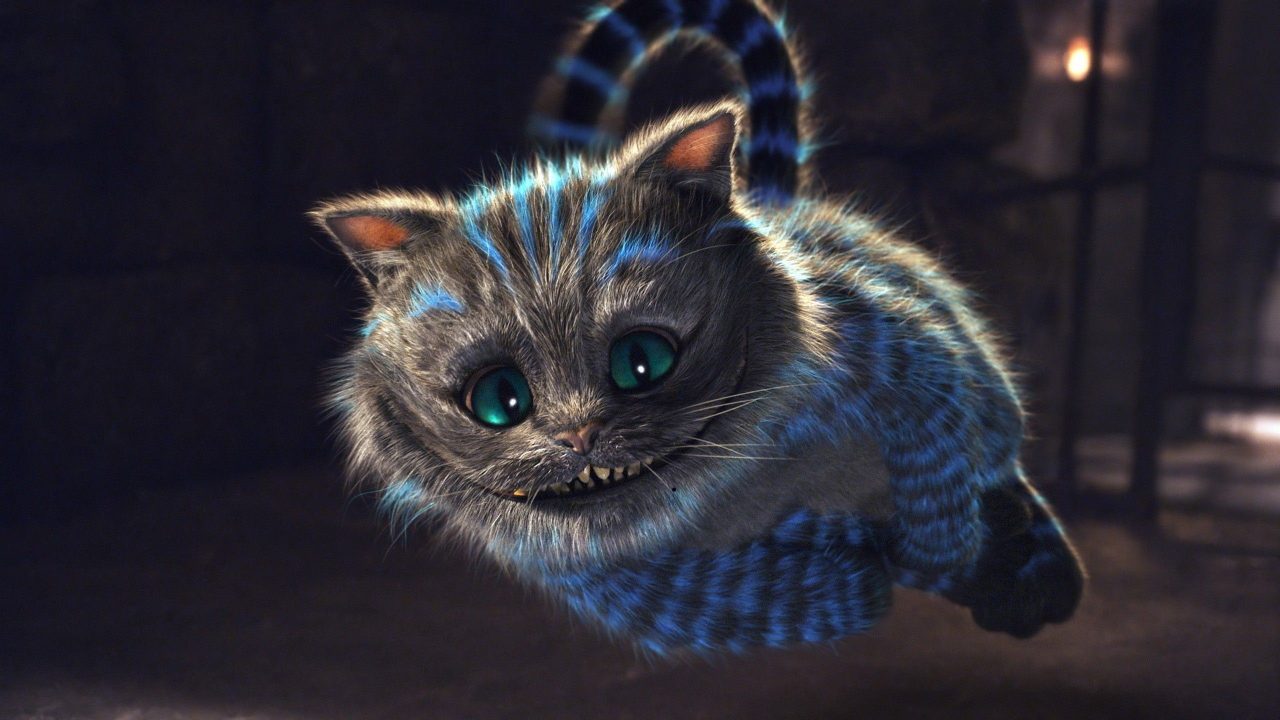 Hình nền mèo 3D cute đẹp nhất 18