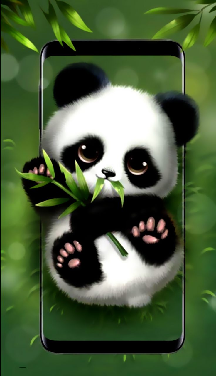 Cute Panda iPhone Wallpaper