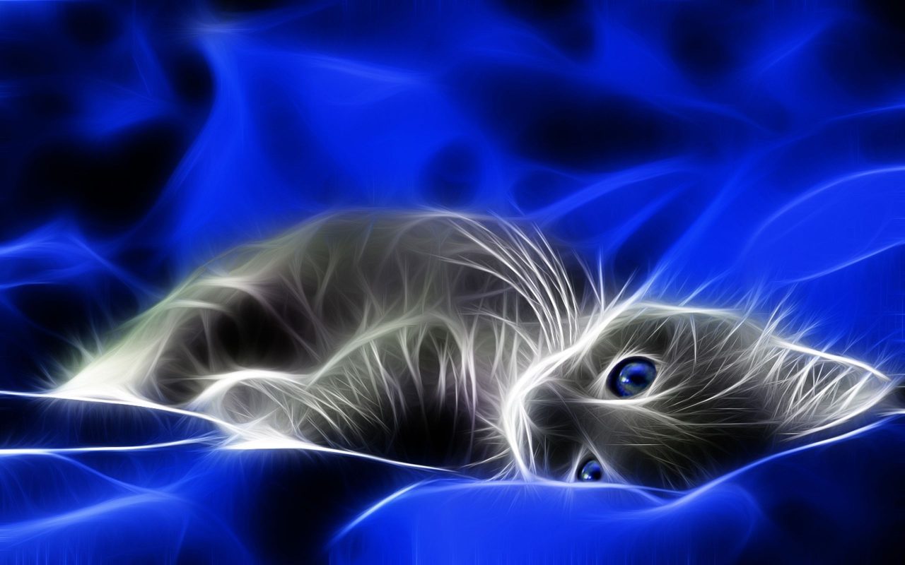 Hình nền mèo 3D cute đẹp nhất 27