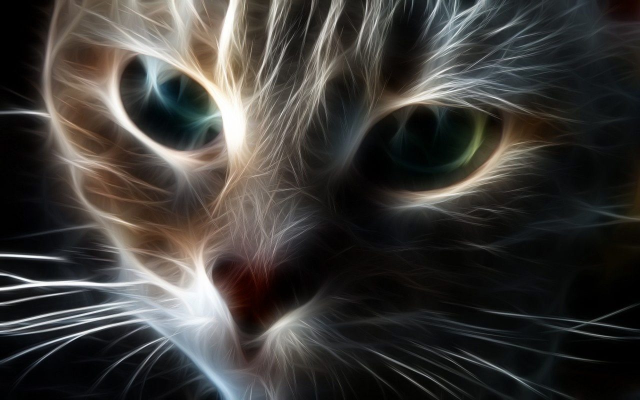 Hình nền mèo 3D cute đẹp nhất 31