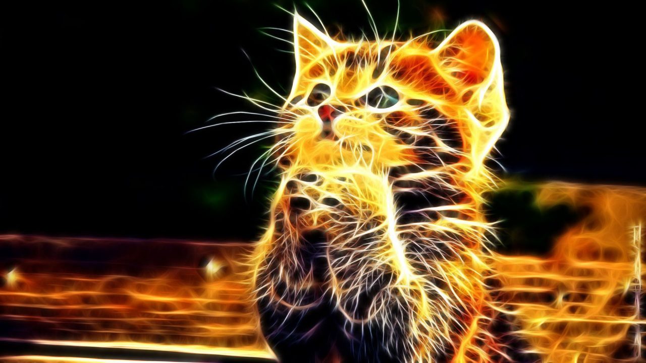 Hình nền mèo 3D cute đẹp nhất 49