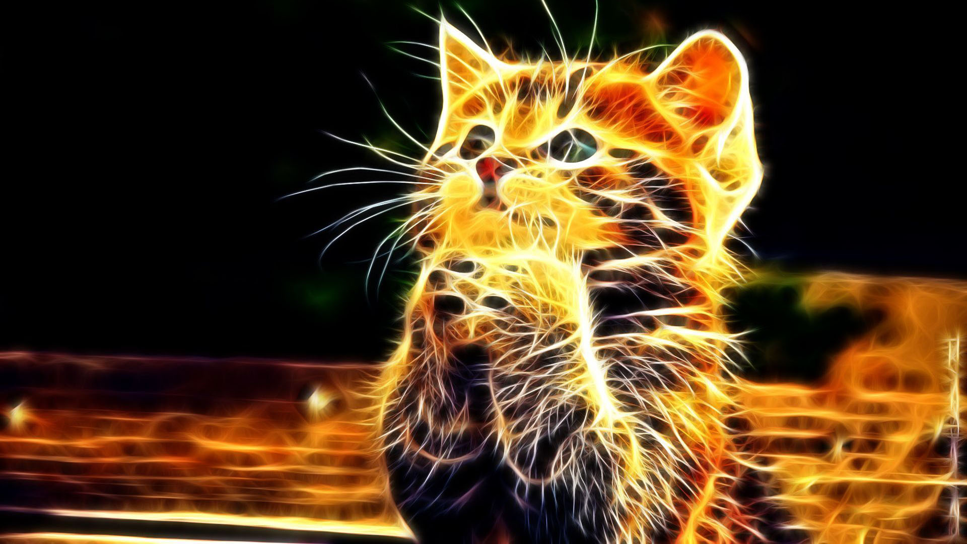 Hình Nền Mèo 3D Cute Đẹp Nhất - Tải Ảnh Đẹp Free