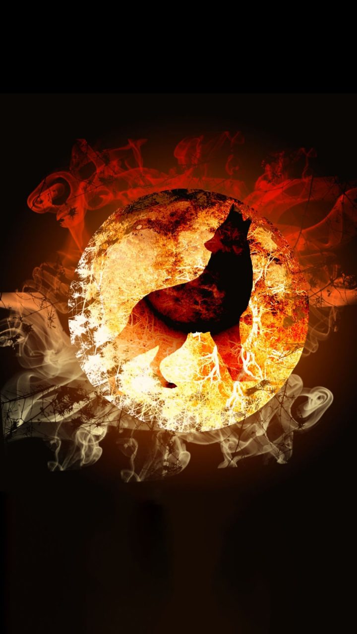 50 Hình nền sói lửa tuyệt đẹp - Tải ảnh đẹp free