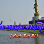 Trách Nhiệm Phật Trao 28 - Thầy Thích Pháp Hòa 16