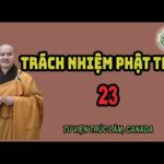 Trách Nhiệm Phật Trao 23 - Thầy Thích Pháp Hòa 21