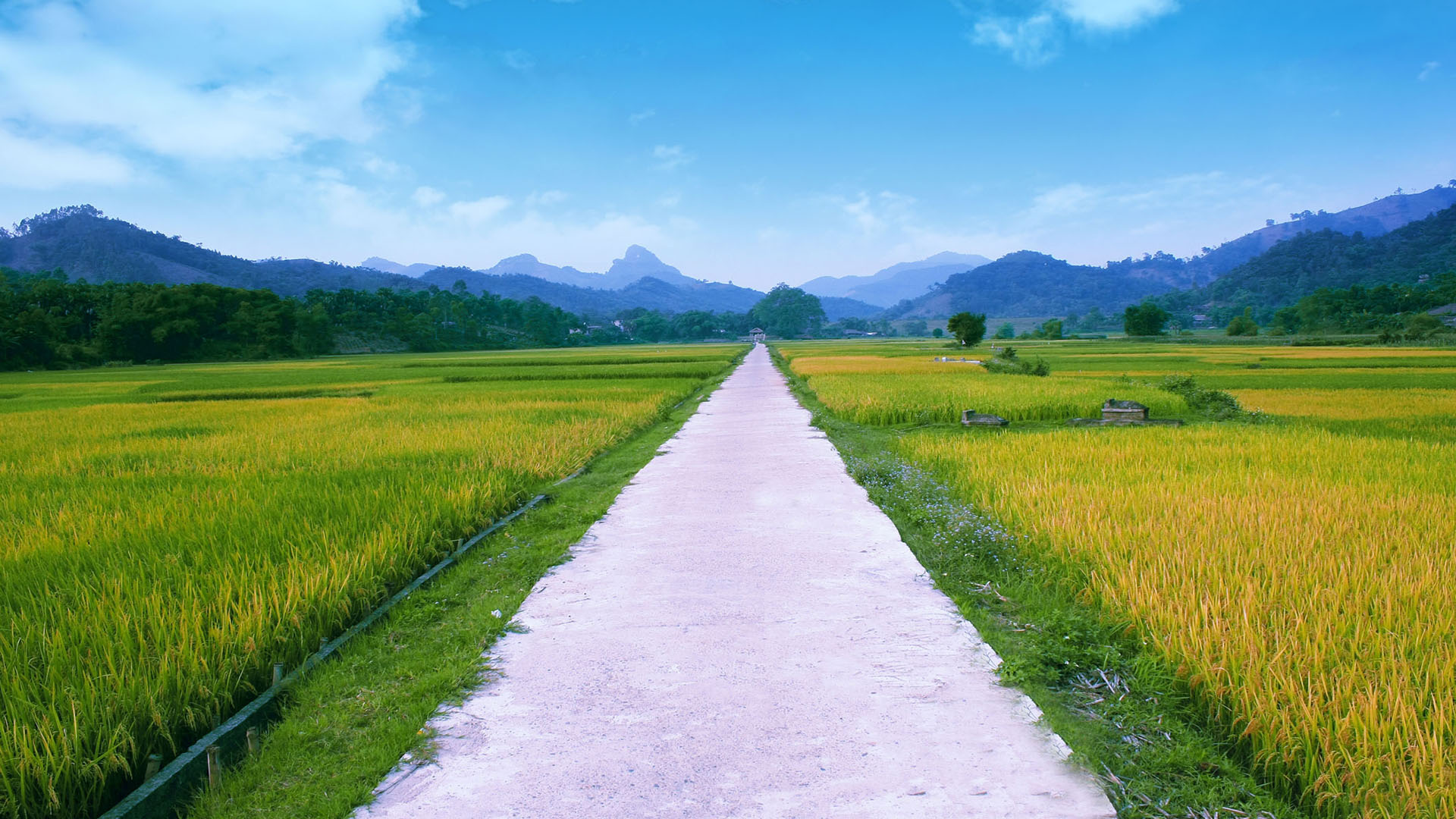 Hình Nền Đường Quê HD và Nền Cờ đẹp Đường quê phong cảnh đất nước nền  đường để Tải Xuống Miễn Phí  Lovepik