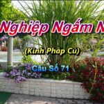 Lửa Nghiệp Ngấm Ngầm - Thầy Thích Pháp Hòa 6