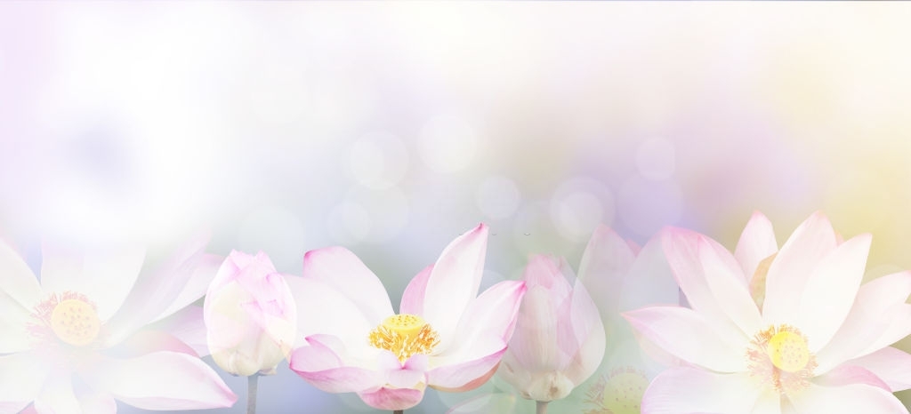 Hoa sen cực đẹp là một trong những biểu tượng đặc trưng của Việt Nam. Hãy chiêm ngưỡng các hình ảnh tuyệt đẹp về hoa sen để tìm hiểu sâu hơn về giá trị văn hóa và đẹp của chúng.