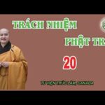 Trách Nhiệm Phật Trao 20 - Thầy Thích Pháp Hòa 24