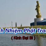 Trách Nhiệm Phật Trao 24 - Thầy Thích Pháp Hòa 20