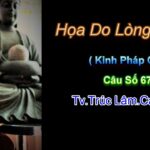 Họa Do Lòng Tham - Thầy Thích Pháp Hòa 11